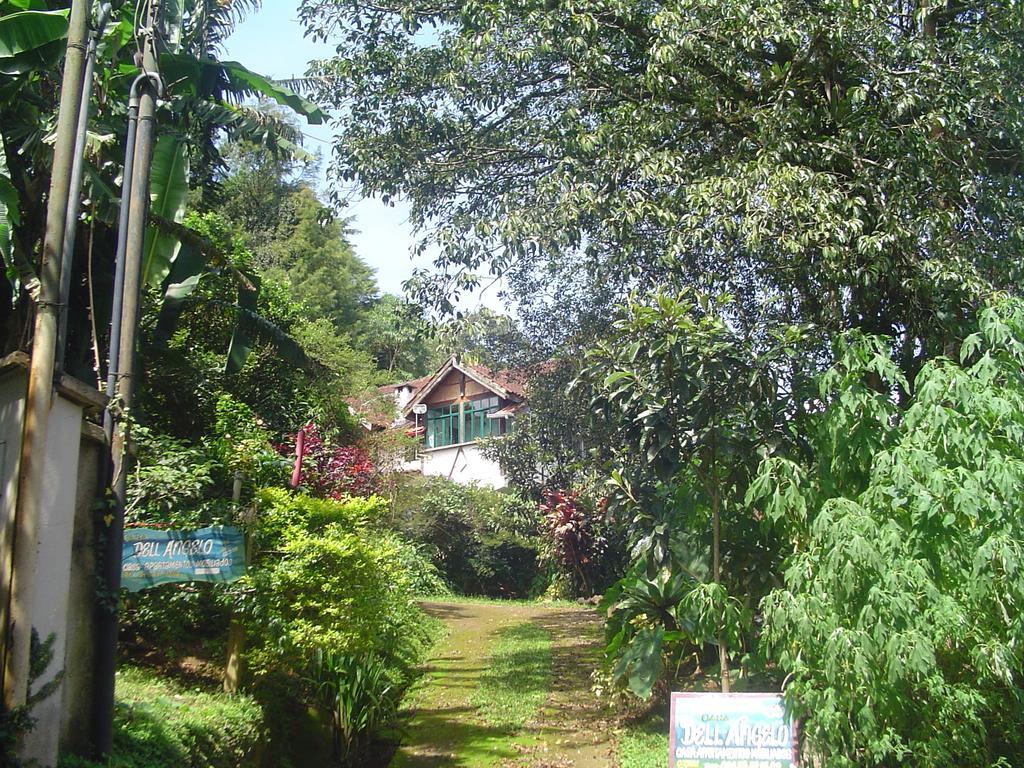 Casa Dell Angelo Apartamentos 维奥康德马奥 外观 照片