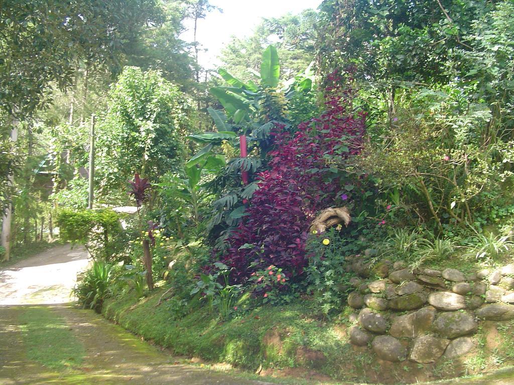 Casa Dell Angelo Apartamentos 维奥康德马奥 外观 照片