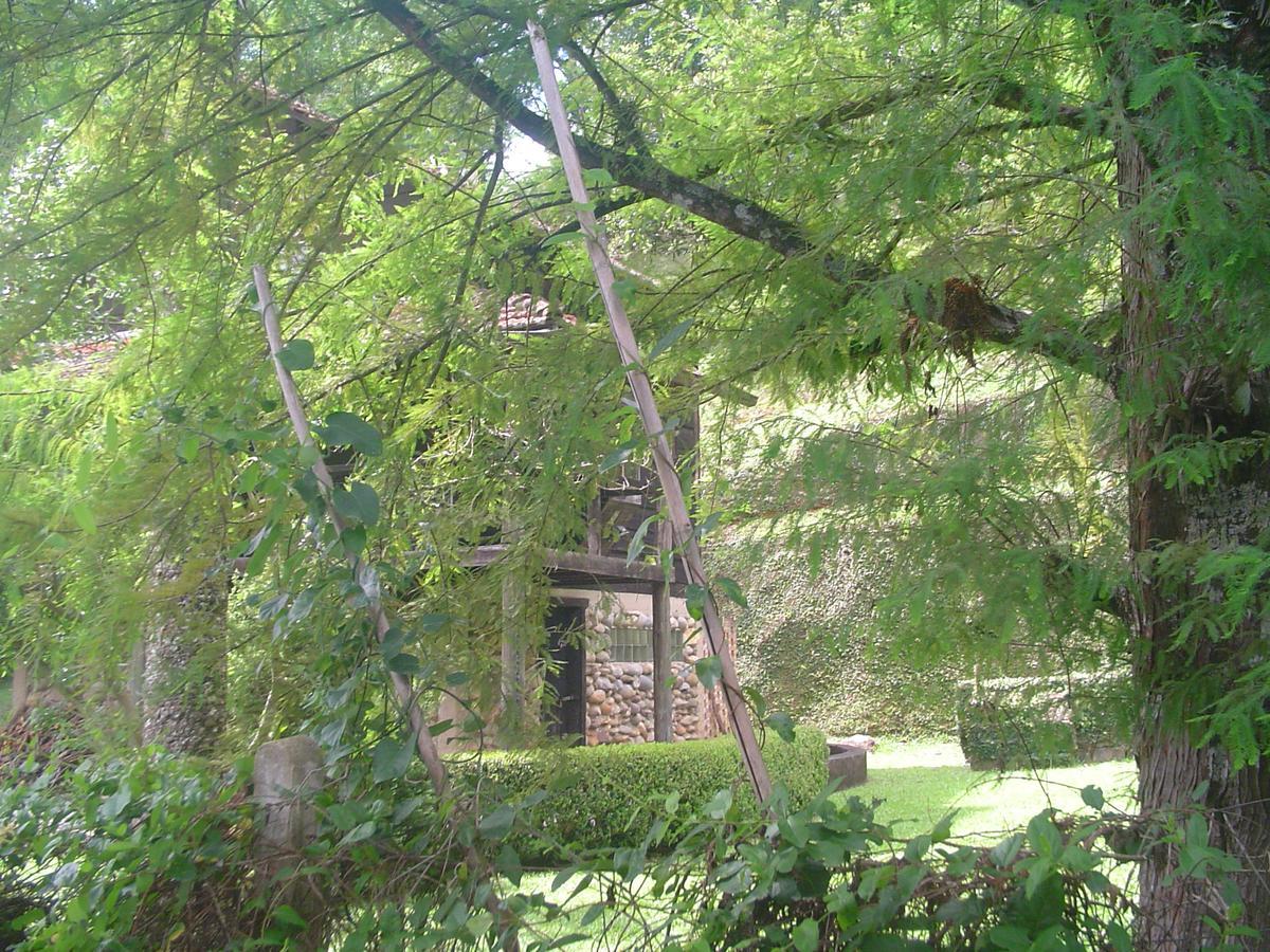 Casa Dell Angelo Apartamentos 维奥康德马奥 外观 照片